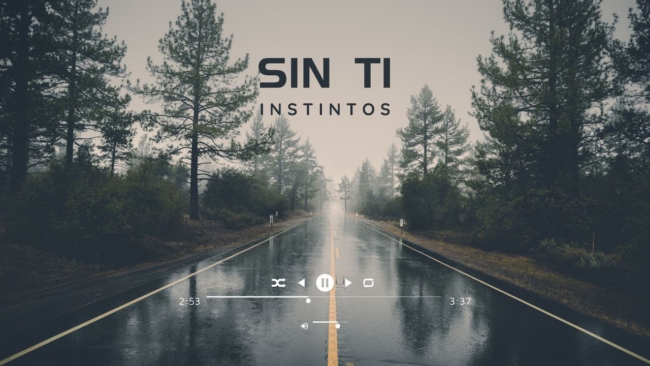 Instintos - Sin Ti (video lyrics)