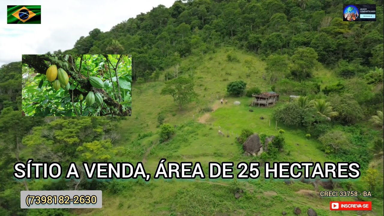 Sítio a venda,local tranquilo,agradável, rica em água, acesso privativo, cacau e várias frutíferas.