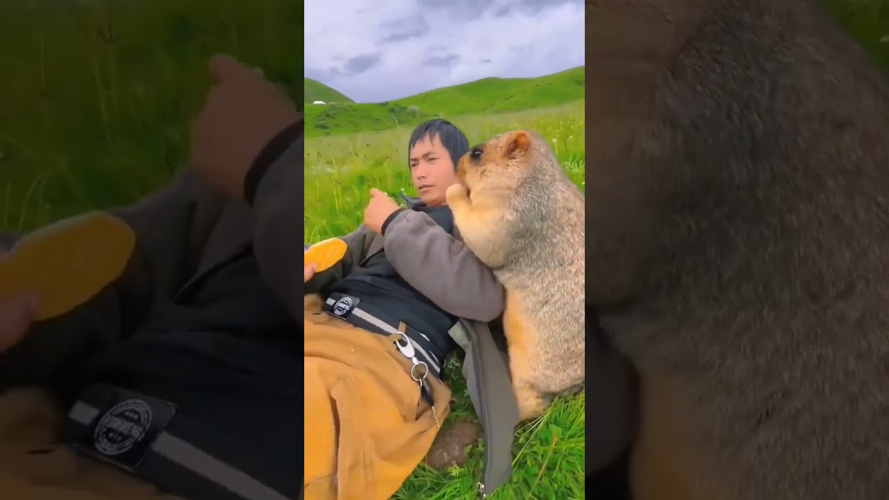 this is what the internet was made for #marmot #crackers