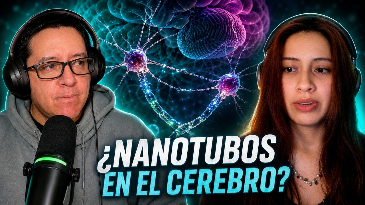 Descubren T&uacute;neles Secretos entre C&eacute;lulas del Cerebro