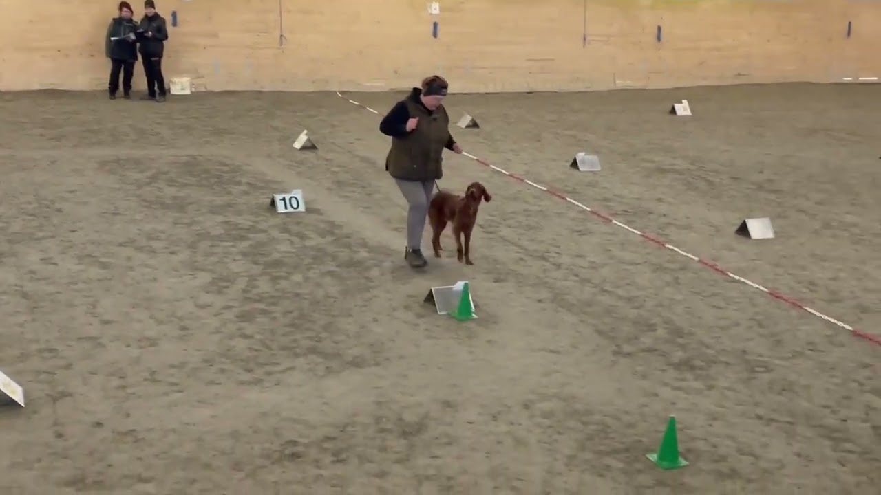 Rallylydnad Nybörjarklass 21/4 2024