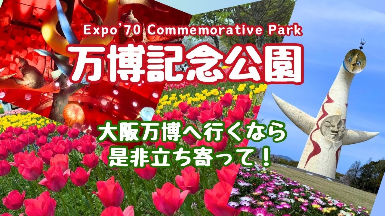 【太陽の塔は凄かった】万博へ行ったついでに寄った万博記念公園が素晴らしかった！太陽の塔も面白いし、広い公園内にはびっくりするほど大規模なお花畑が広がっていて度肝を抜かれます。