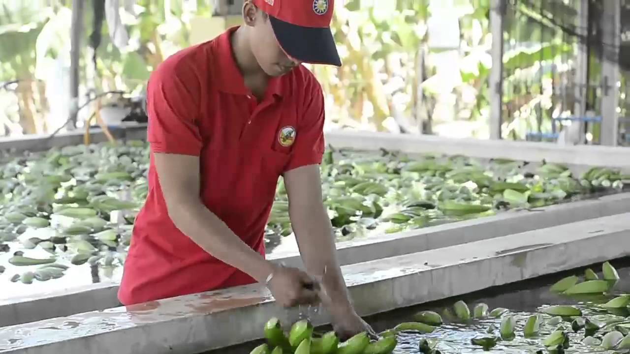 Quality Inspection