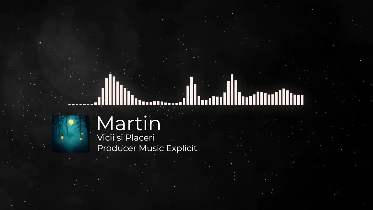 Martin | Vicii & Placeri (#music #explicit )