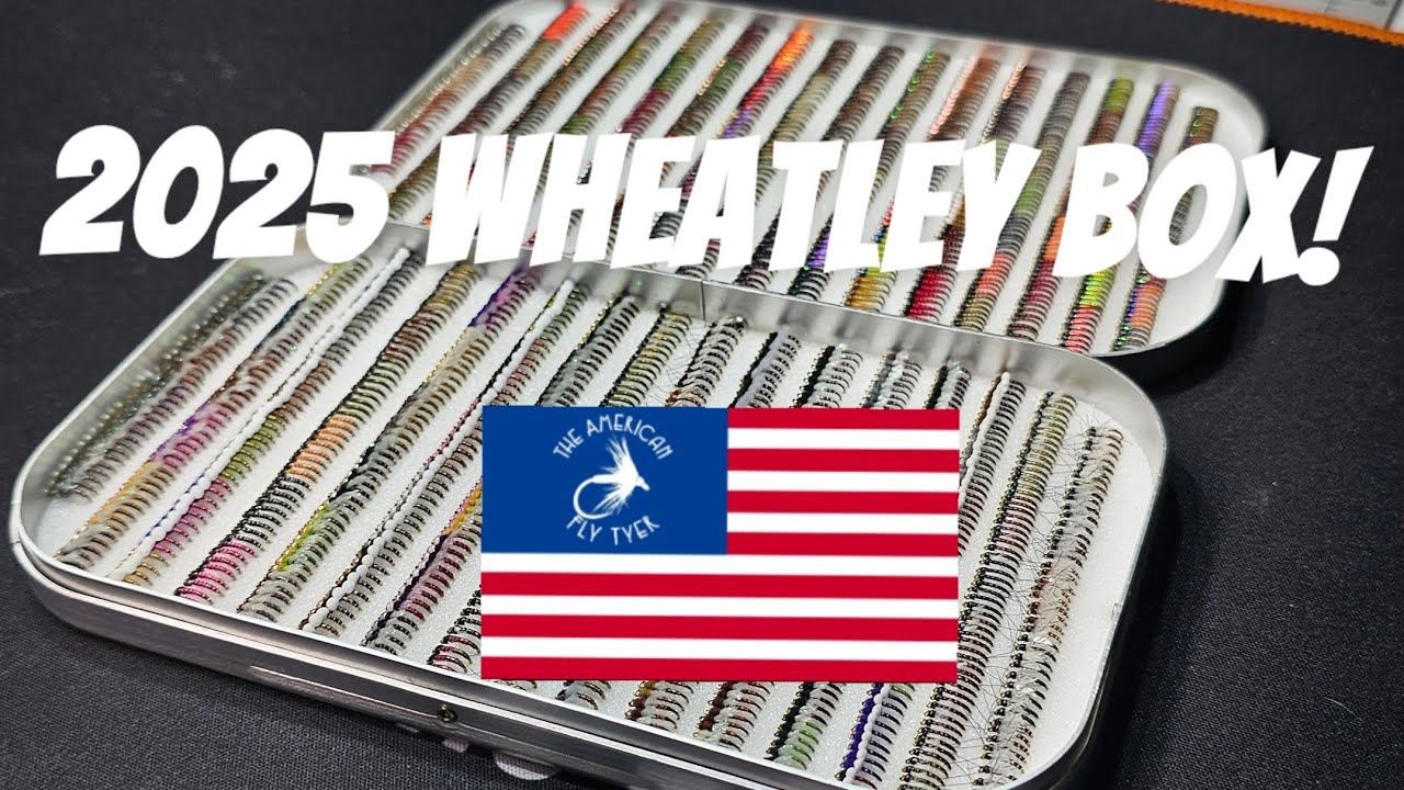 My wheatley.. 2025 Midge Box