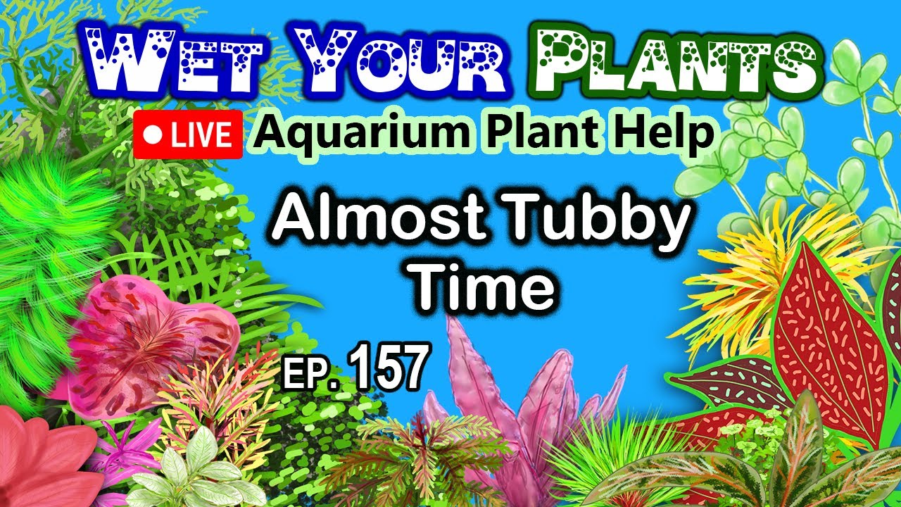 Aquarium Plants, Pond Plants, Q&A, Advice, Chitchat, Yay (WYP 157)