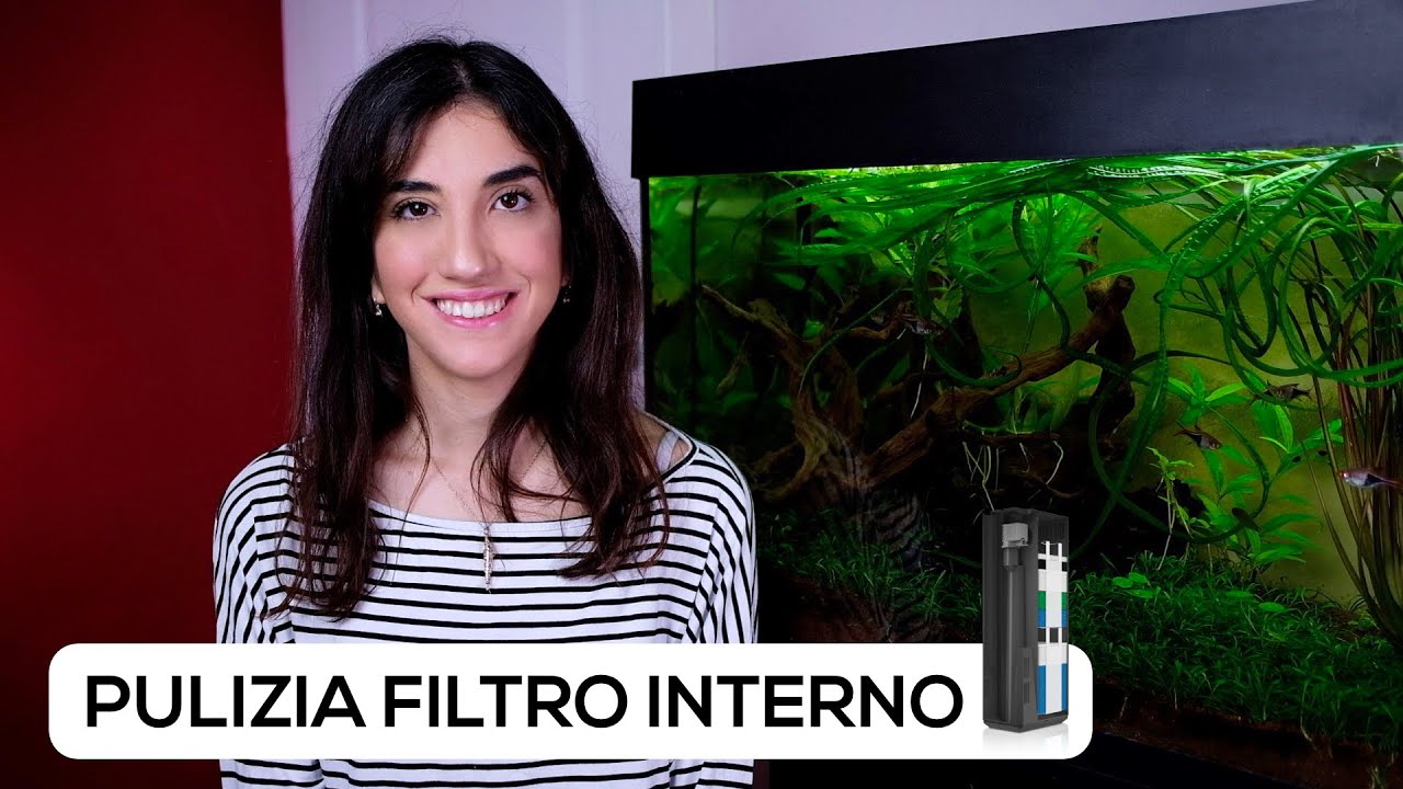 La MANUTENZIONE del FILTRO in ACQUARIO