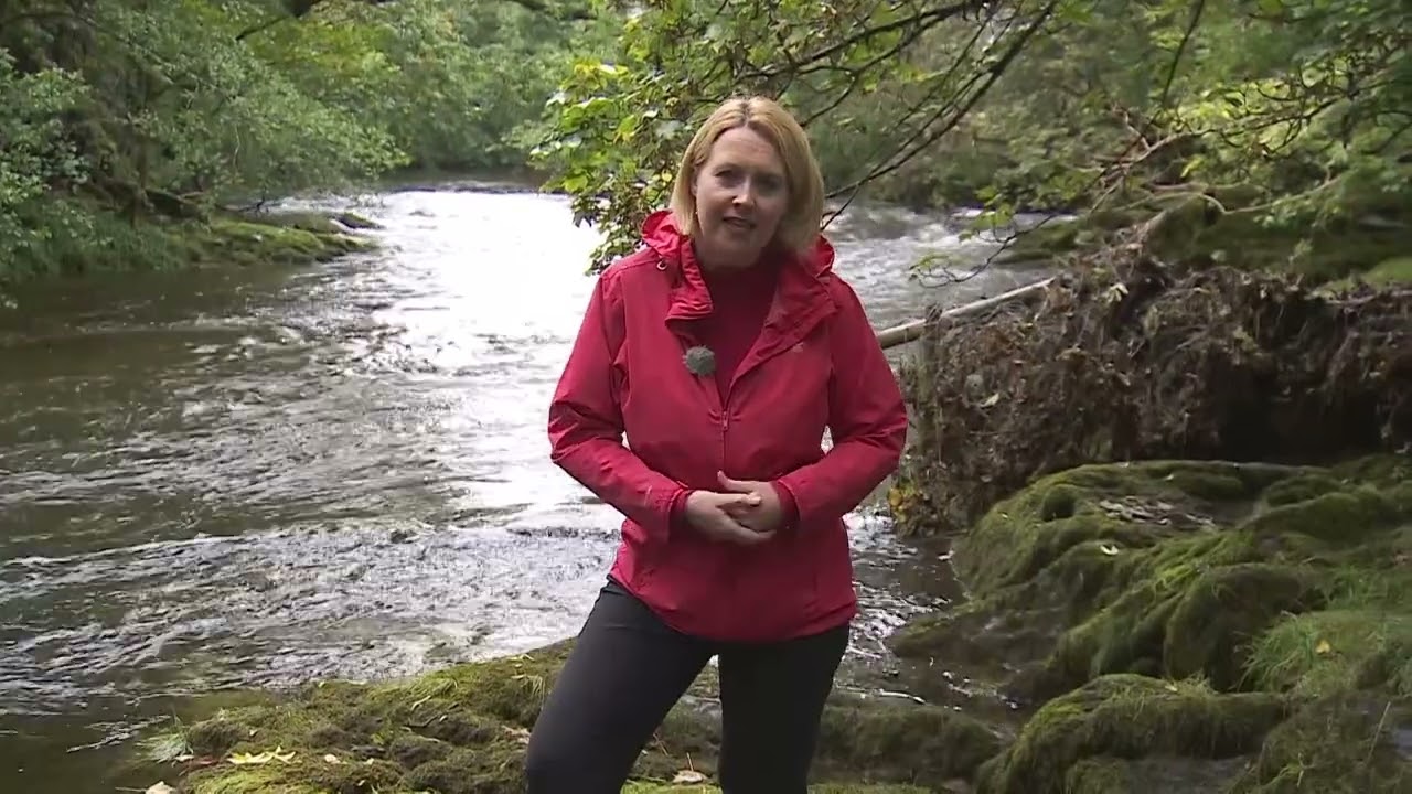 What's Killing the River Wye? - Pollution special report