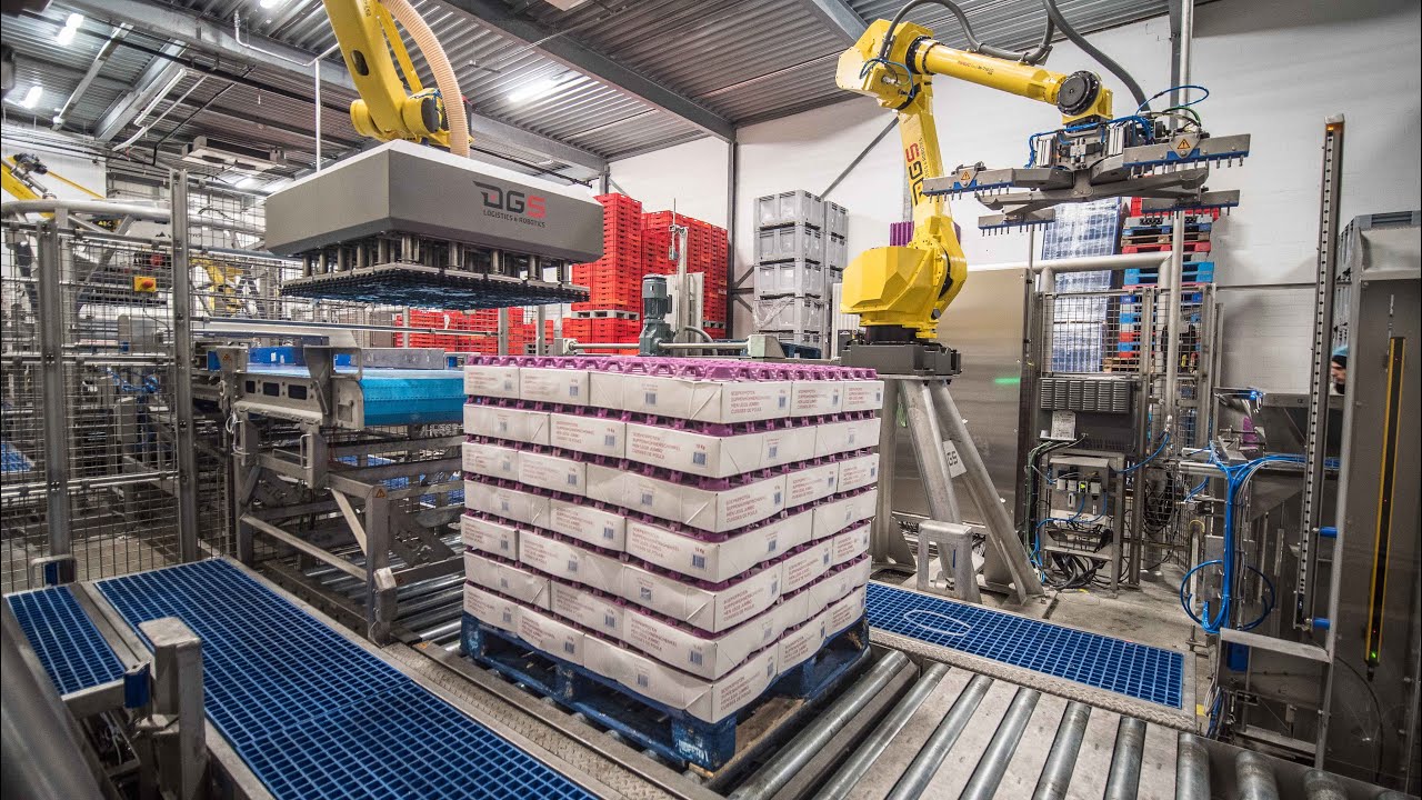 Palletizing and depalletizing frozen boxes / Pallet inverter - DGS Processing Solutions