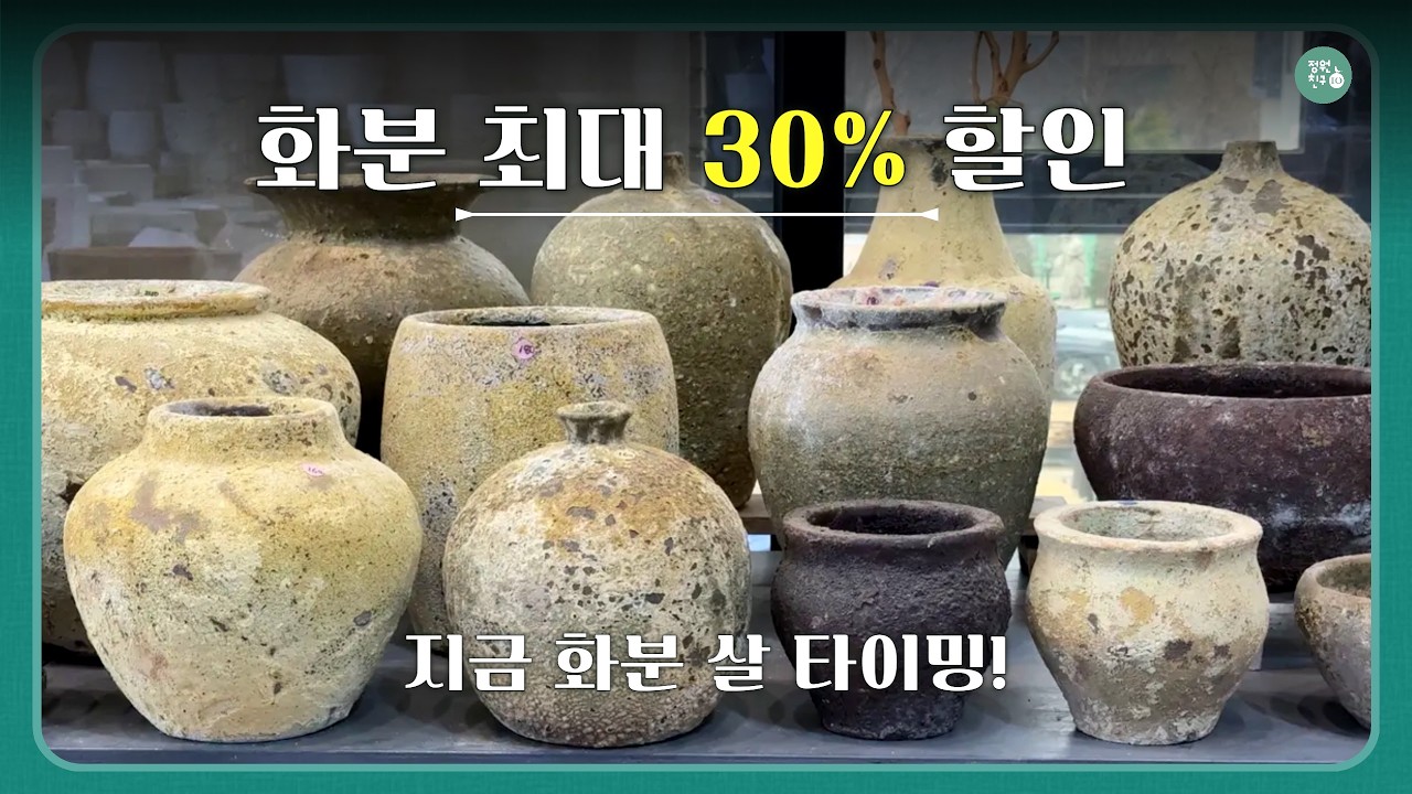 봄맞이 수입 화분 최대 30% 할인 이벤트! | 이레데코 화분 싸게 사는 기회🪴