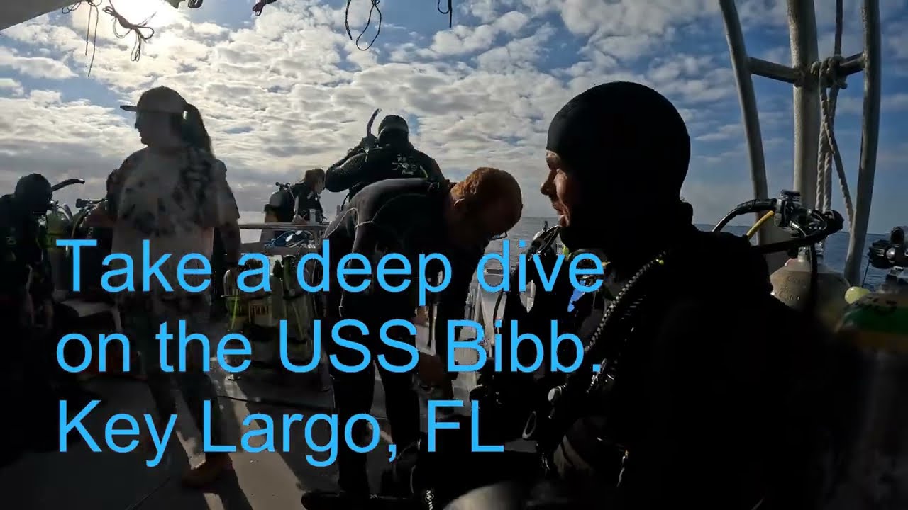 USS Bibb gets visitors; find the visitor we did not bring?