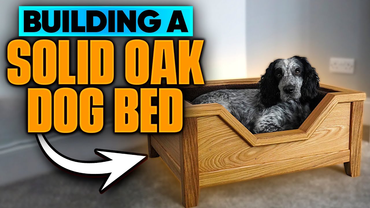 Making the ULTIMATE DOG BED!!!