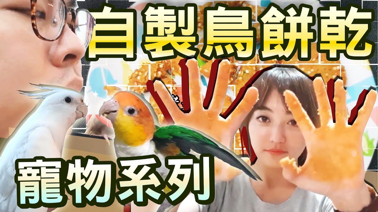 【寵物系列】#8 學長請問可以看一下妳的鳥嗎？ feat.學長ABBY.FICK