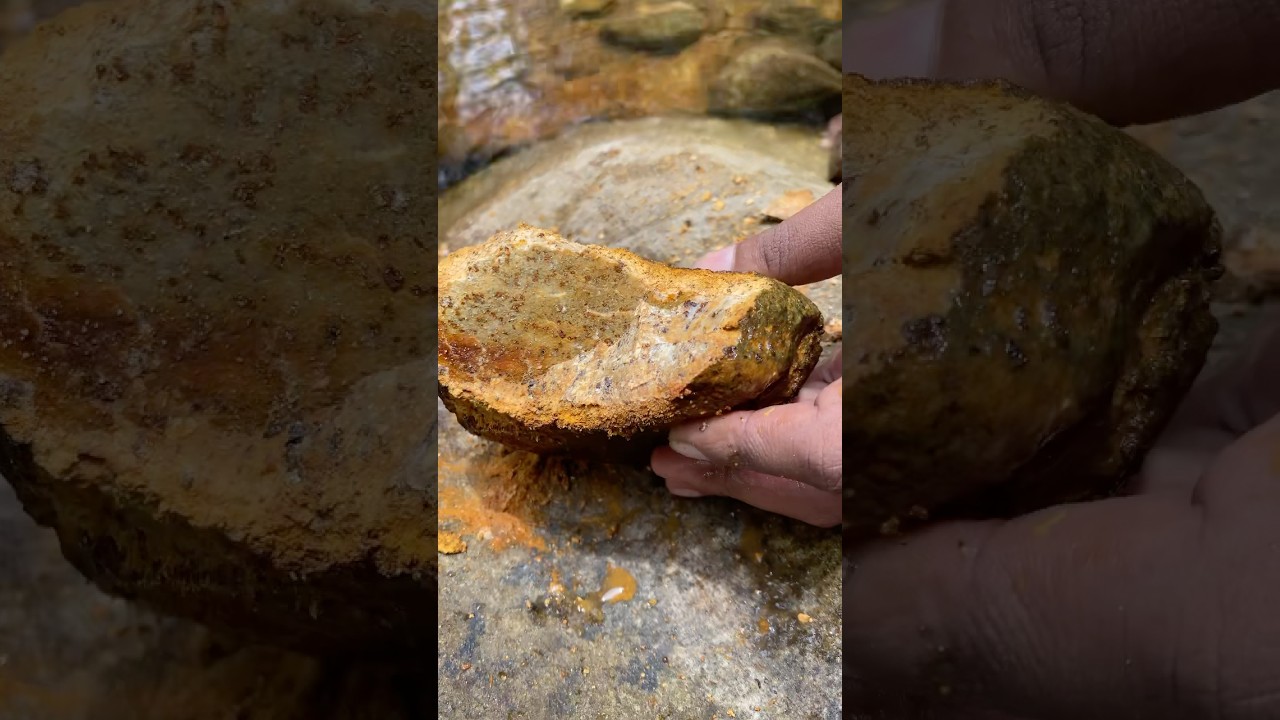 Gooooldd 😯🥇 #gold #goldmining #stone #tresher #satisfying