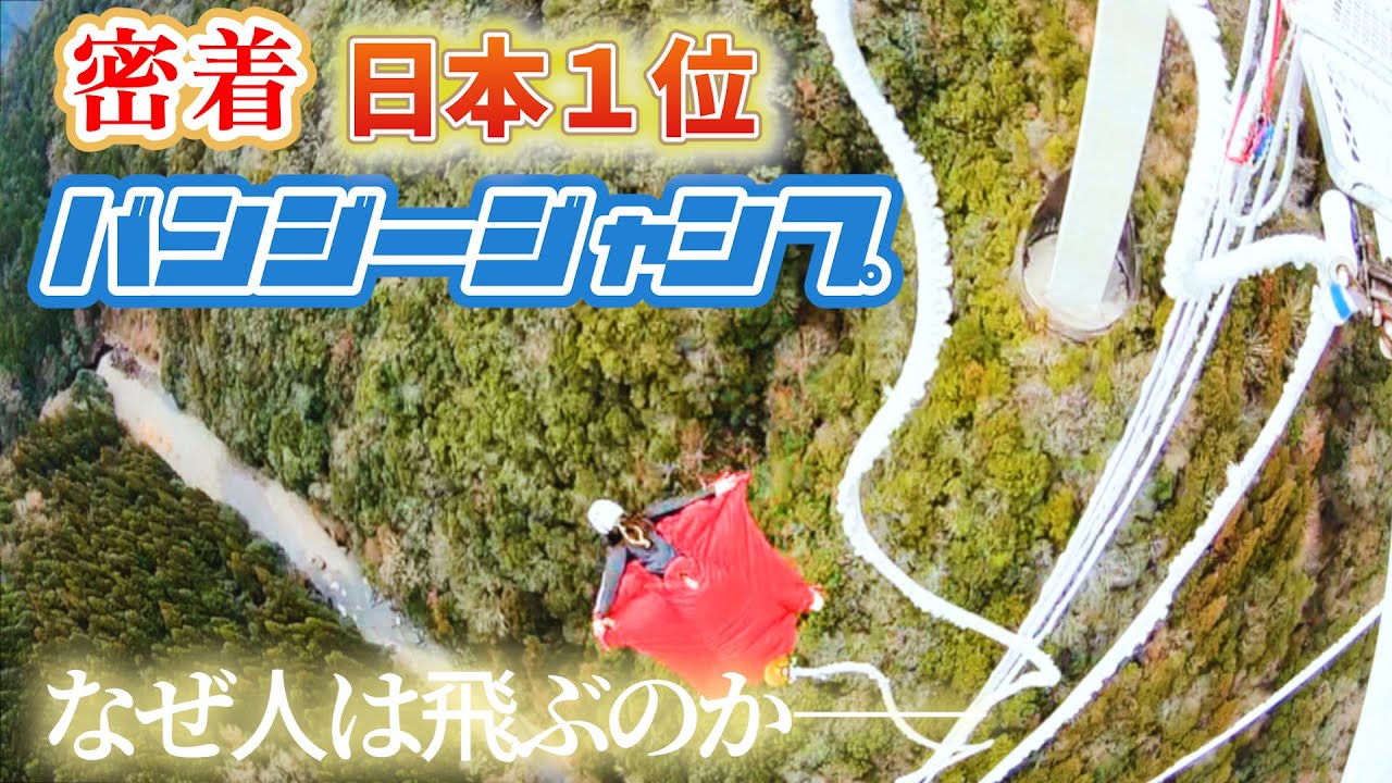 【密着】高さ日本一！岐阜のバンジージャンプ物語【アップ！特集】