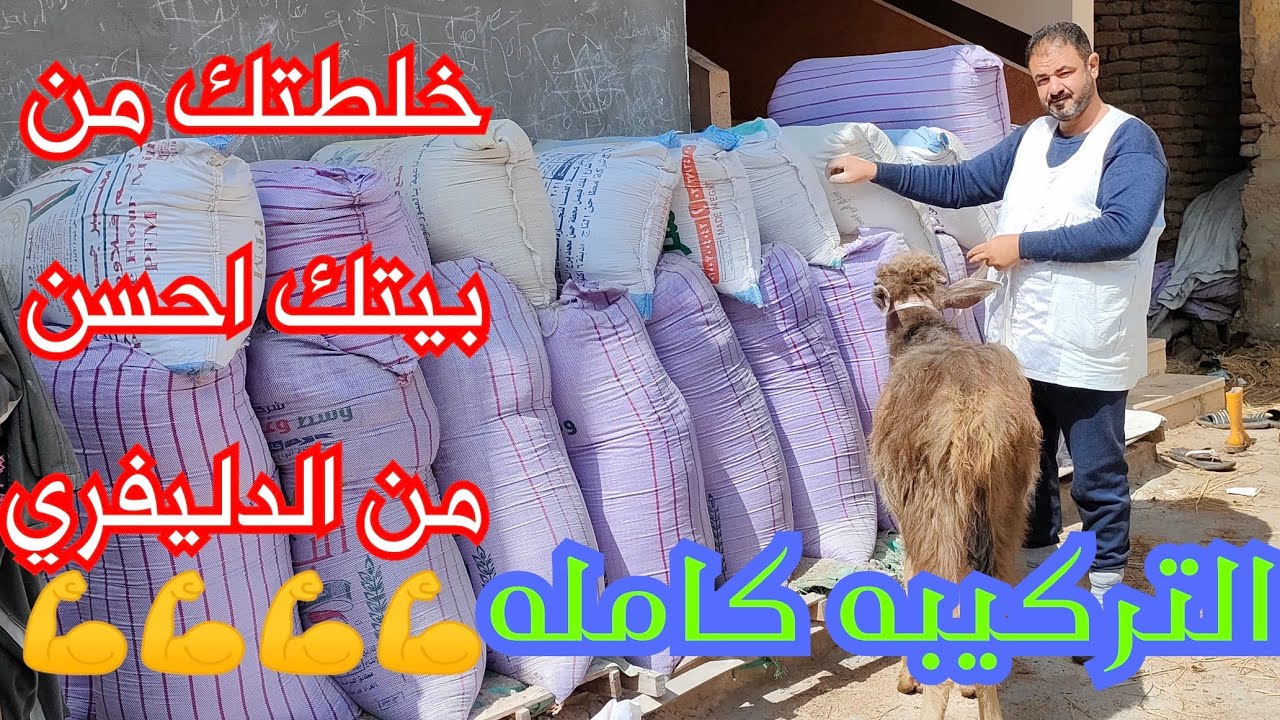 اقوى خلطه تسمين لو عايز مشروعك ينجح وتطلع وزن مثالي وكمان عرض هديه من التاجر الامين 💪💪💪💪💪💪👌👌