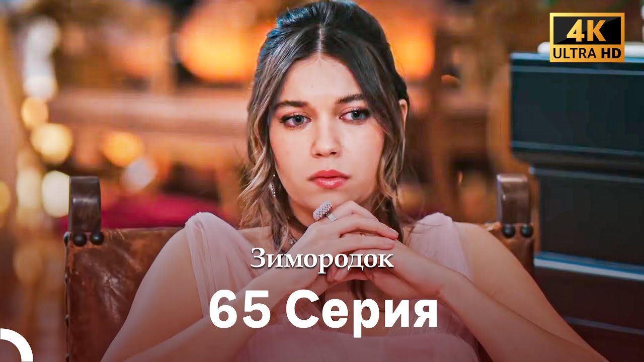 Зимородок 65 Cерия (Русский дубляж) (4K)