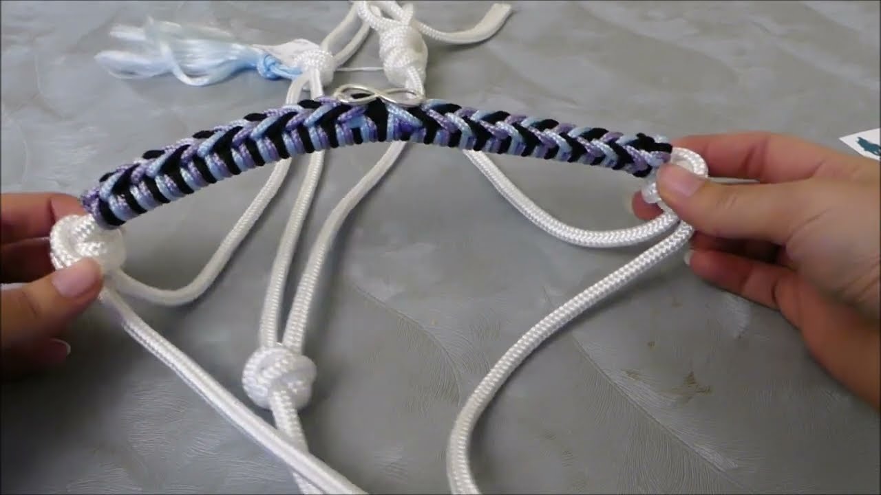 Régler mon licol en corde (éthologique)