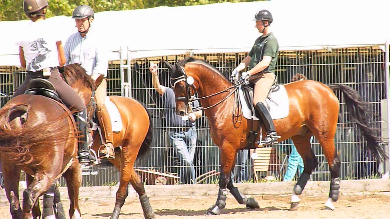 Dressage. In the  warm-up ring