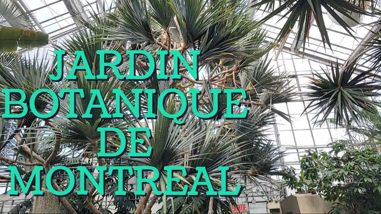 Jardin Botanique de Montréal| Montreal Botanical Garden #jardinbotanique