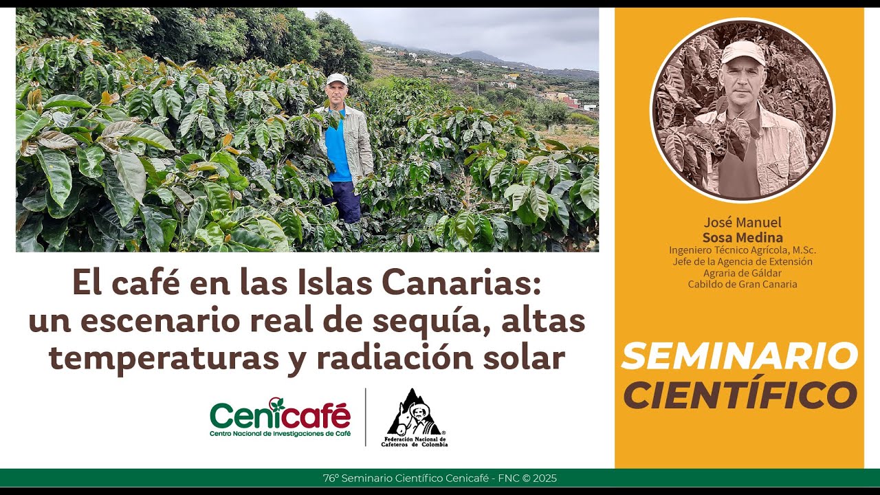 El café en las Islas Canarias: un escenario real de sequía