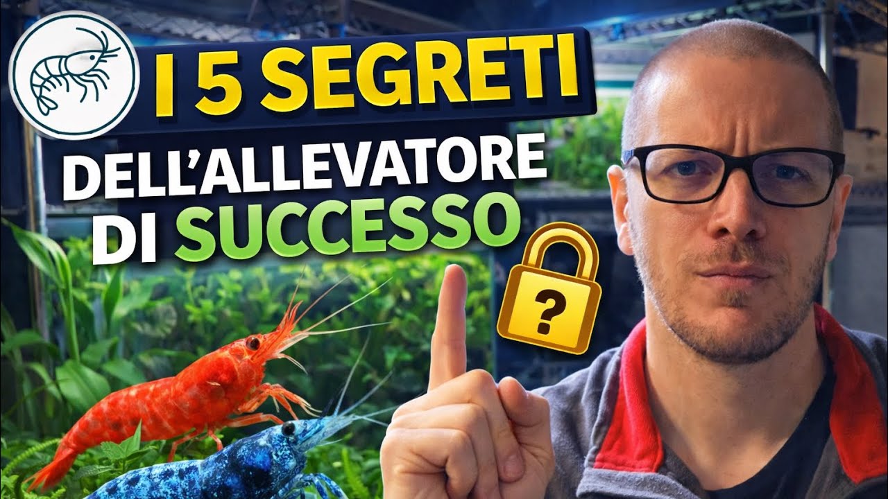 I 5 SEGRETI dell’Allevatore di SUCCESSO