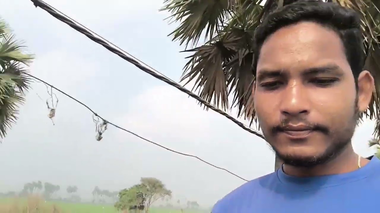 Andhra Pradesh khamani maonai jaiga 