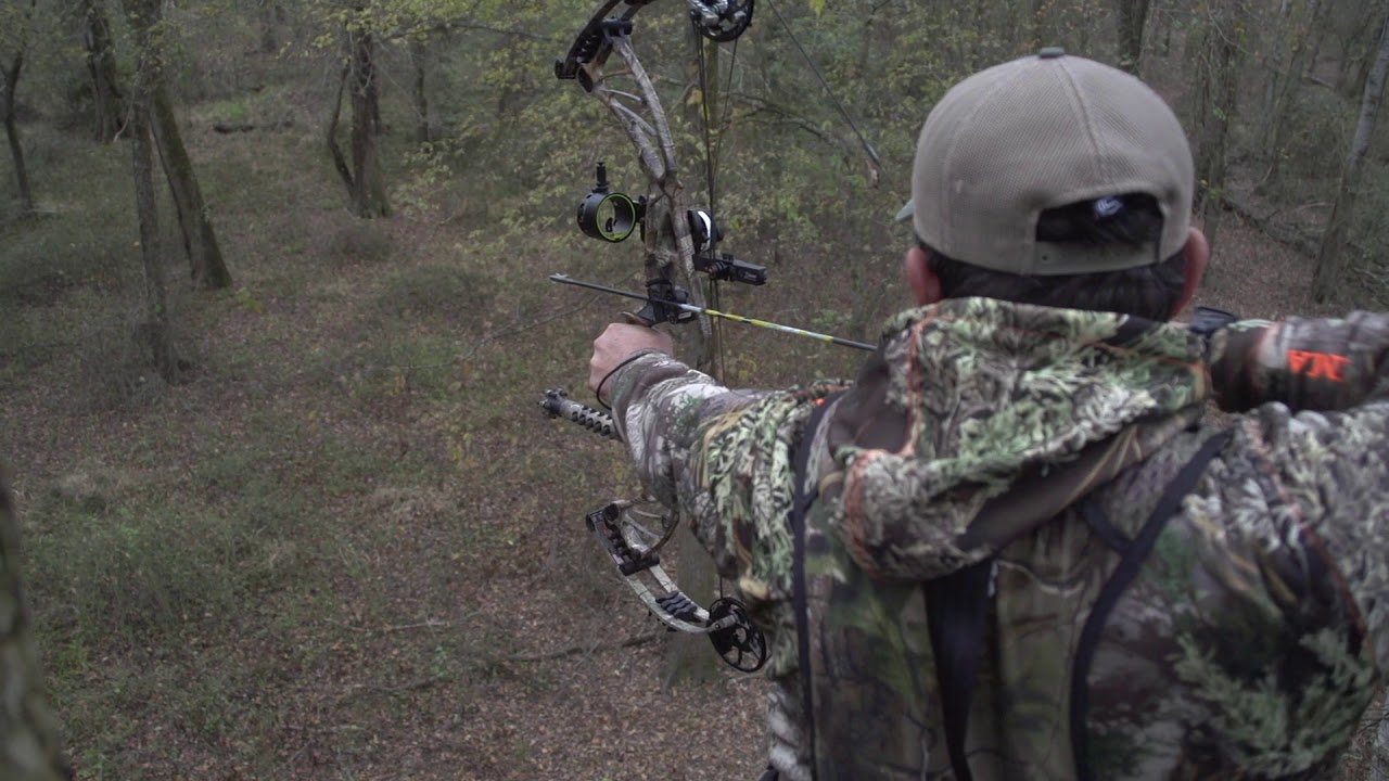 Small Town Quick Hunt | Tara Wildlife Special