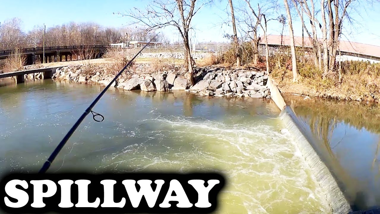 How to Catch Trout at a Spillway with PowerBait Power Eggs!