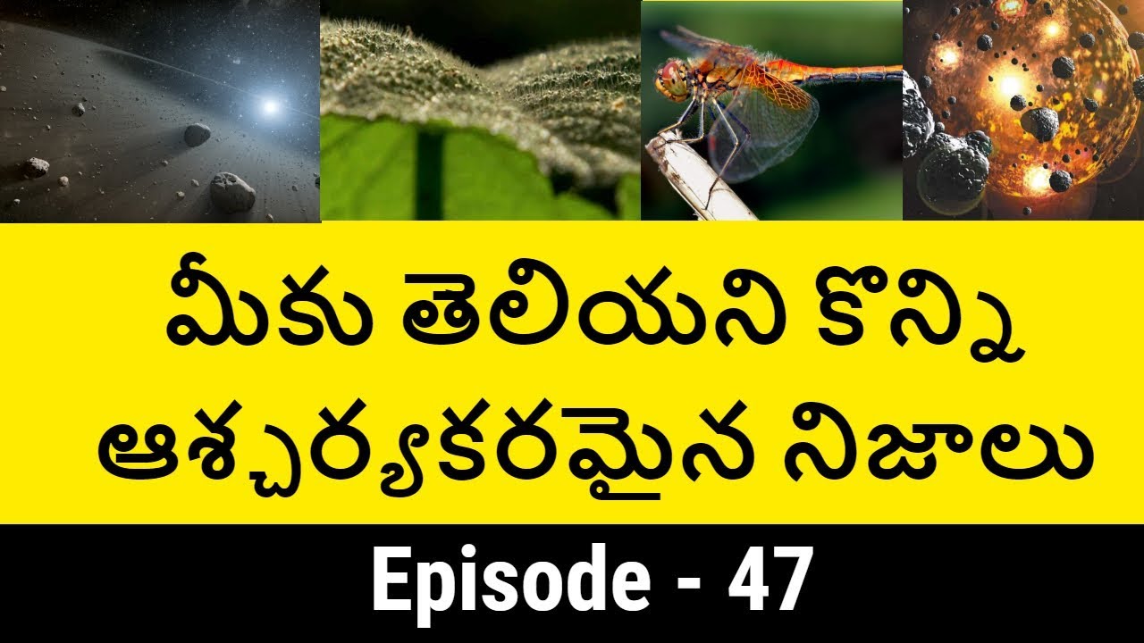 Top 10 Unknown Facts in Telugu Episode -47 | Interesting and Amazing Facts | Telugu badi