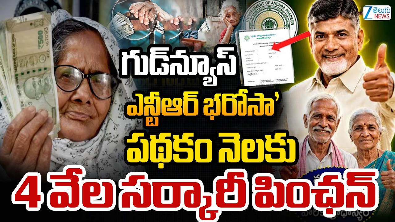 Big Update on New Pensions in AP For 3 Lak People | CM Chandrababu | Pawankalyan | ZEE News
