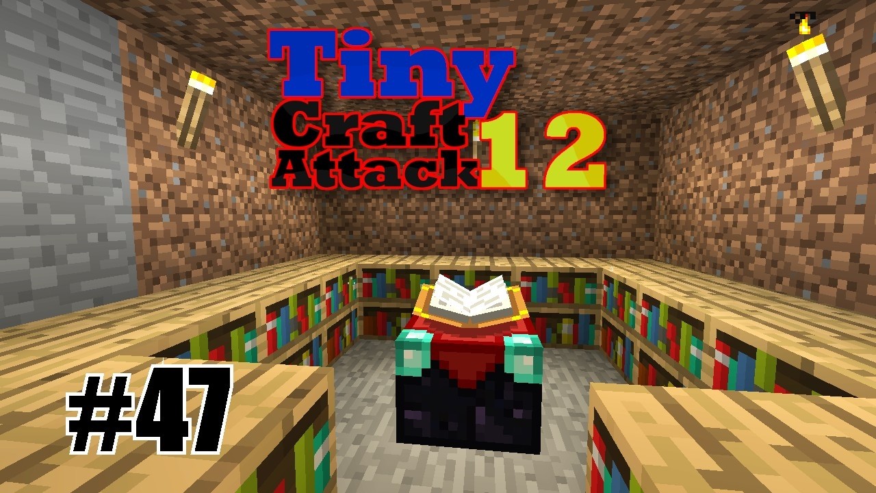 Wird's langweilig? Mikro-Wechsel & 1.21-Features lernen..! - Tiny Craftattack 12 #47 | mit RizemauTV