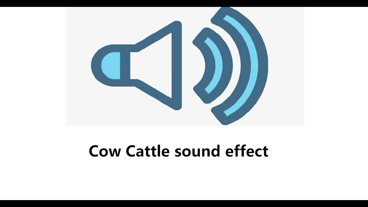 Cow Cattle sound effect