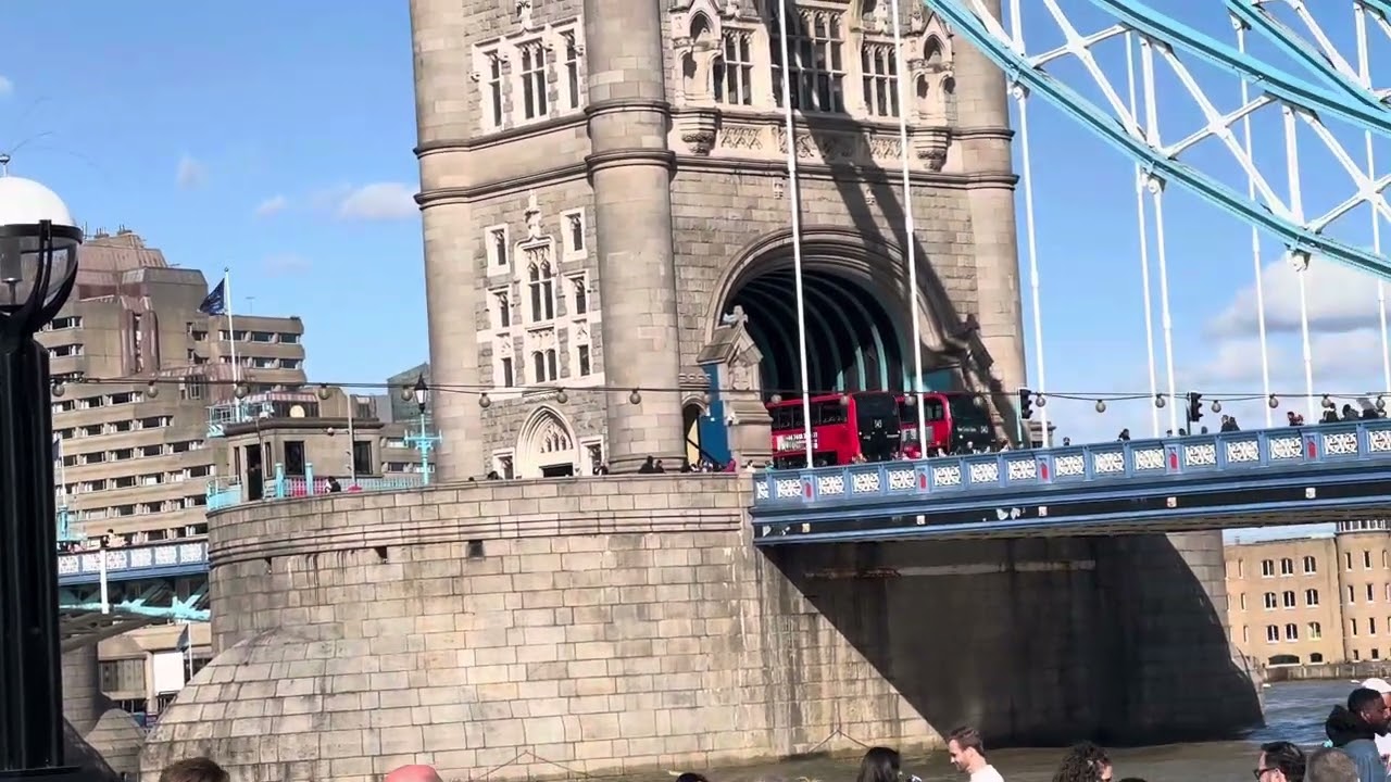 Route 343 to New Cross Gate and route 343 to Tower Gateway at Tower Bridge