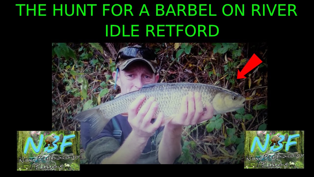 I STOLE THE GINGER FISHERMAN,S SPOT STICK FLOAT TROTTING FOR BARBEL ON THE RIVER IDLE IN RETFORD