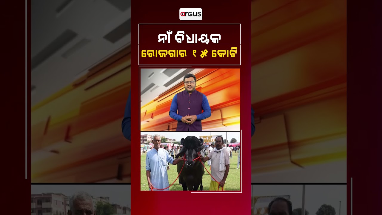 ନାଁ ବିଧାୟକ ରୋଜଗାର ୧୫ କୋଟି | Argus News