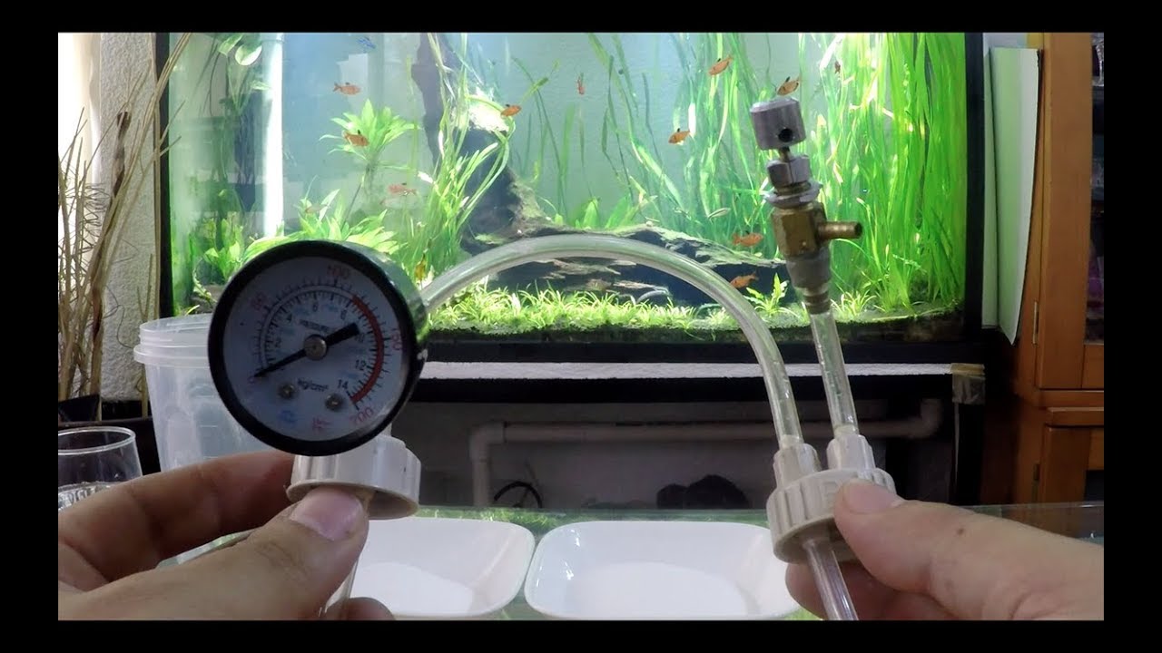 CO2 para el ACUARIO NANO PLANTADO PARTE 3||||||😝💨🌱🌿