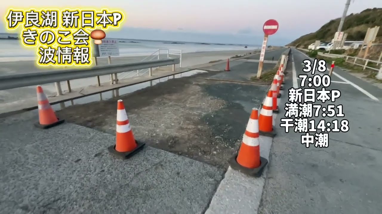3/8 6:30新日本P【伊良湖波情報】2026年