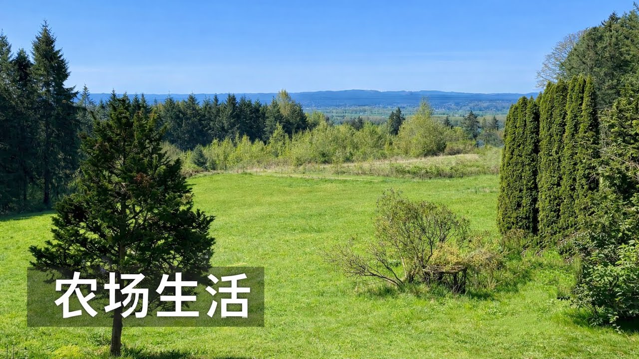 为什么一个人管理农场不能太较真儿？- Running a Farm Alone? Don’t Try to Do Everything Perfectly