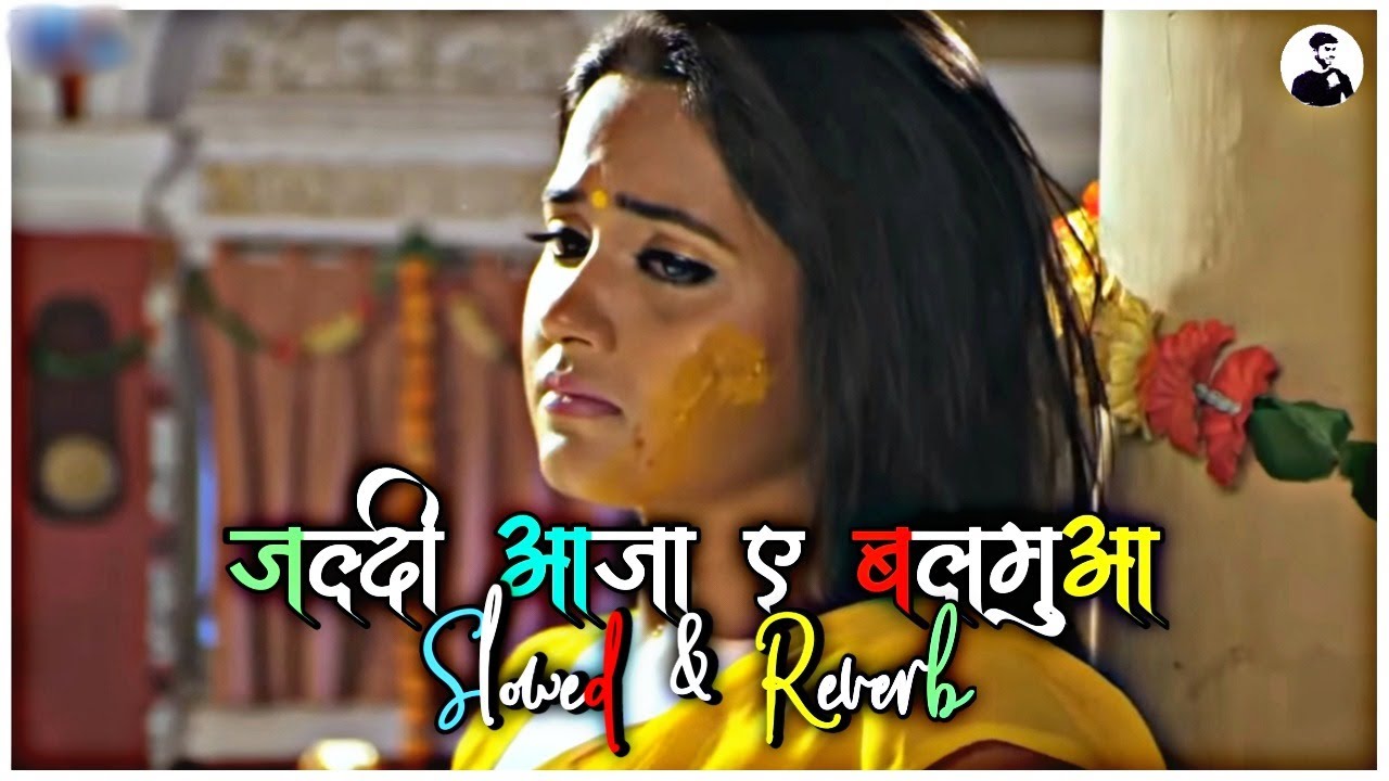 बुलबुल बिरह में मार जाई - Instagram viral Song || Jaldi Aaja e Balamua Kalpana patwari Lofi Song