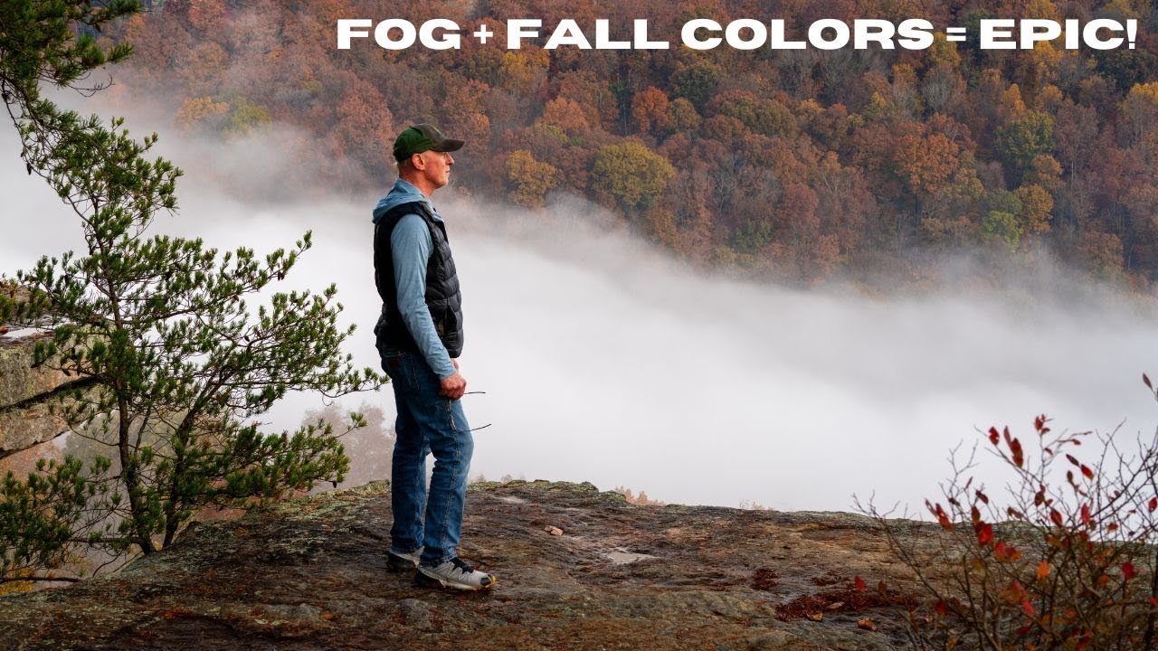 I Found Tennessee’s Most Breathtaking Fall Colors! 📸 Savage Gulf State Park Photo Journey