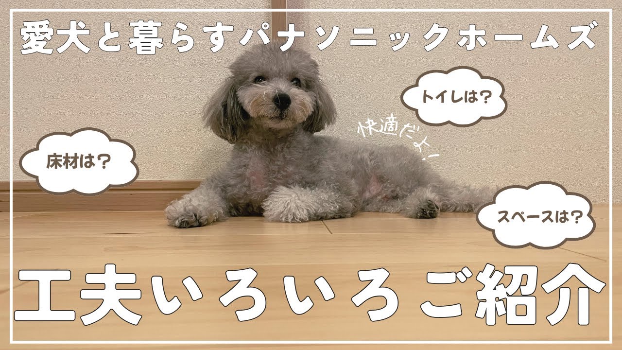 【パナソニックホームズの家づくり】愛犬のために出来る工夫