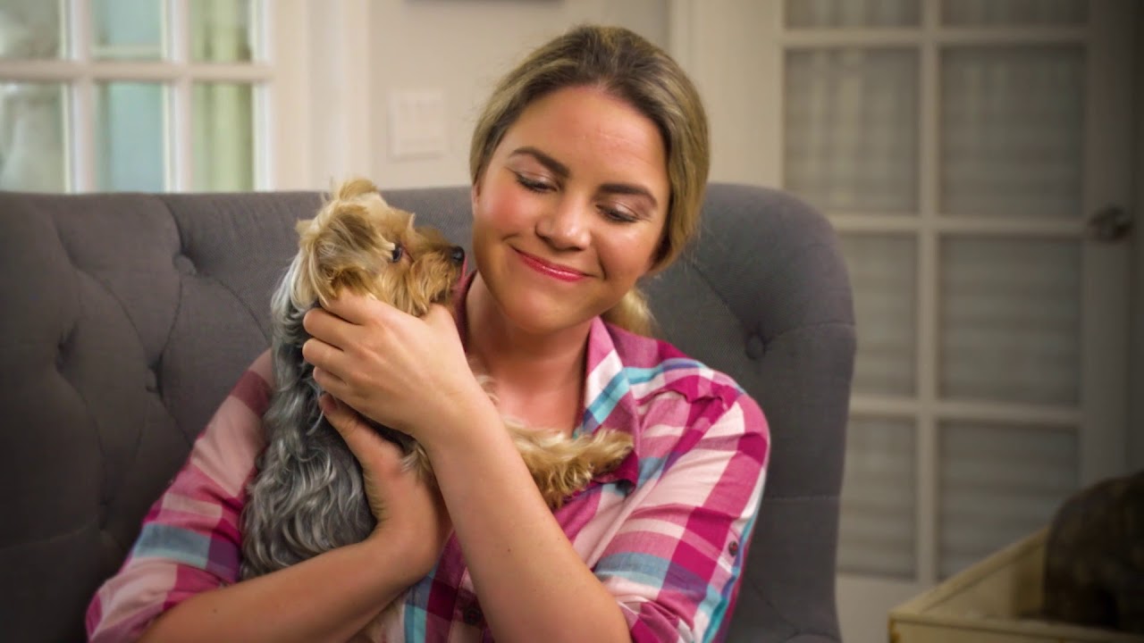 Peticare: For the Best Pet Pedicure!