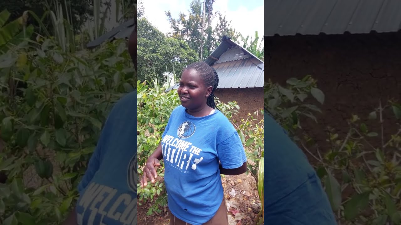 Enhanced Crop Yield and Quality: Muguka Cultivation Experience with Our Fertilizer  #growpeat