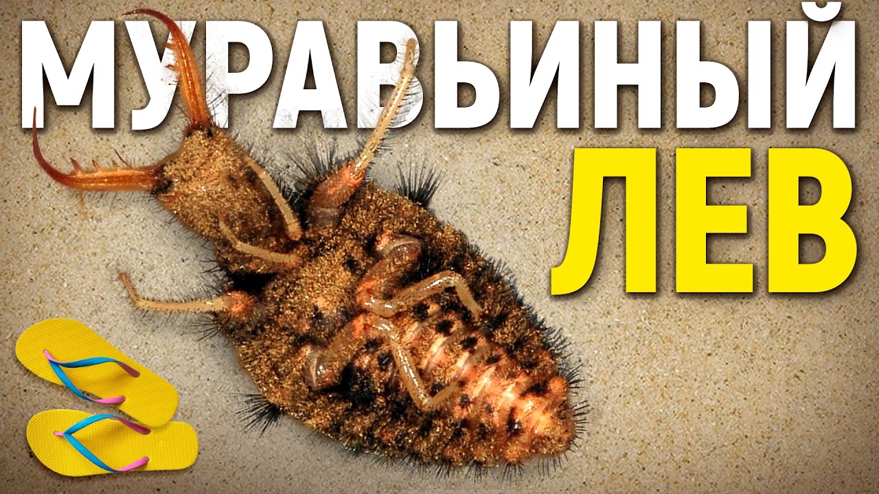 Муравьиный лев - подземный монстр. Наталья Носова.