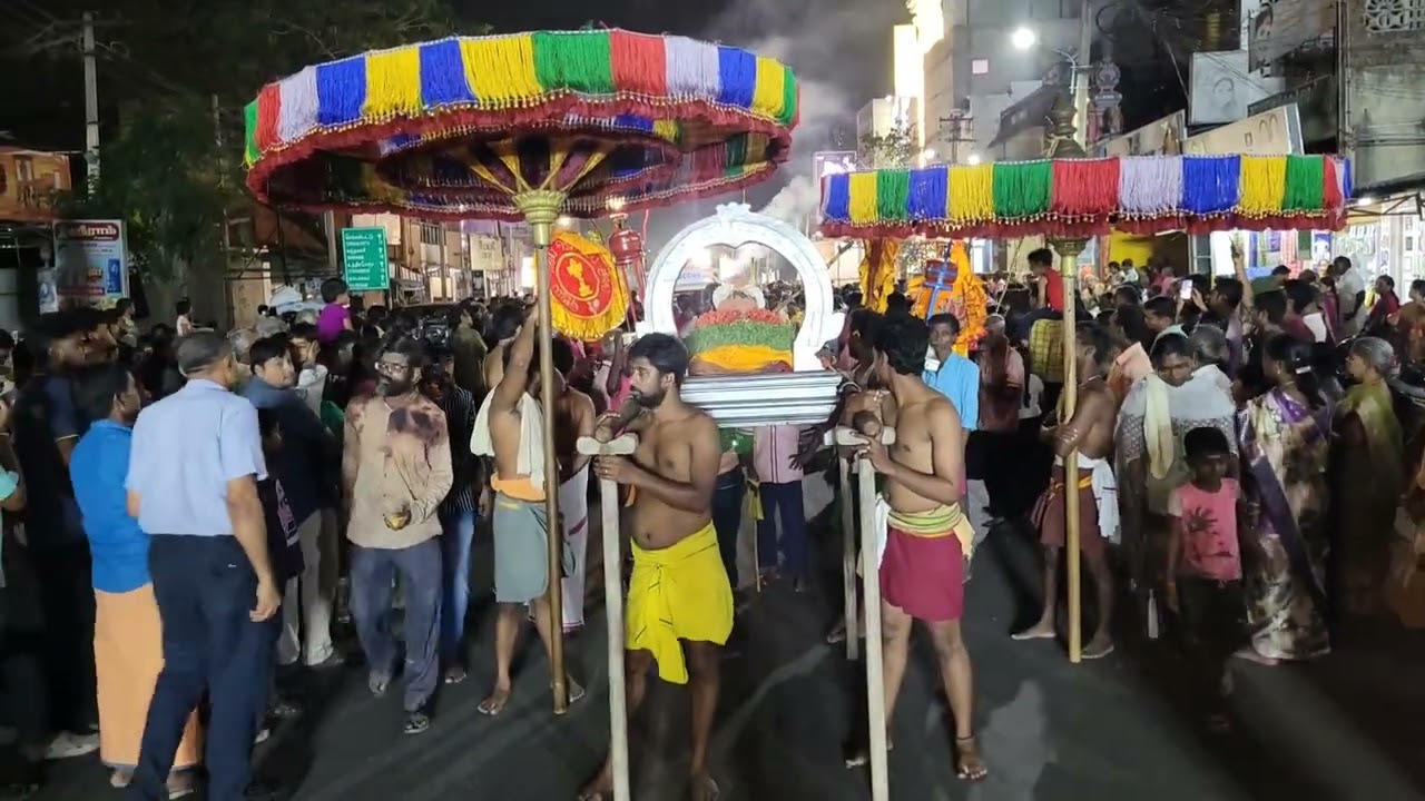 Kanchi Kamakshi Amman Golden Parrot