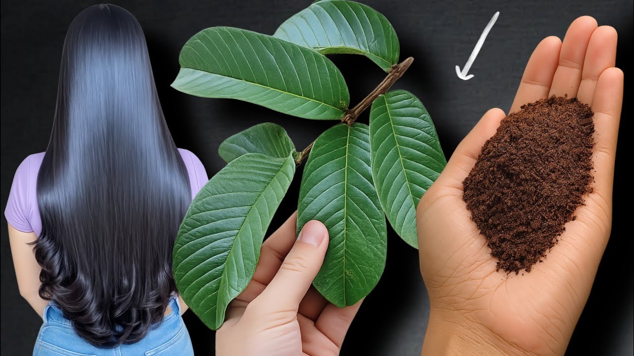 CABELO CRESCE MUITO RÁPIDO COM APENAS 2 INGREDIENTES 