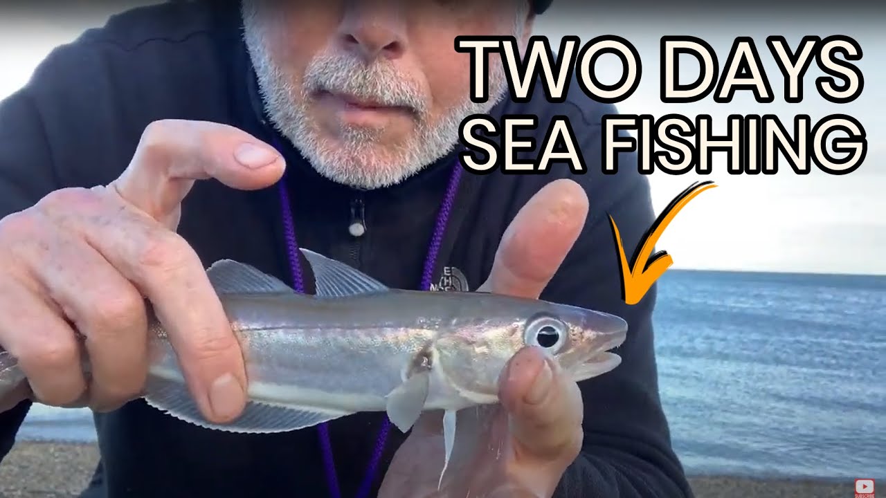 Sea Fishing in the UK (Isle of Sheppey) | Two Days... How Many Fish?