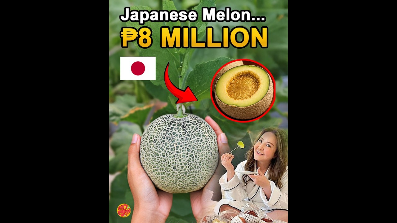 Bakit Sobrang Mahal ng Melon sa Japan? 🍈🇯🇵