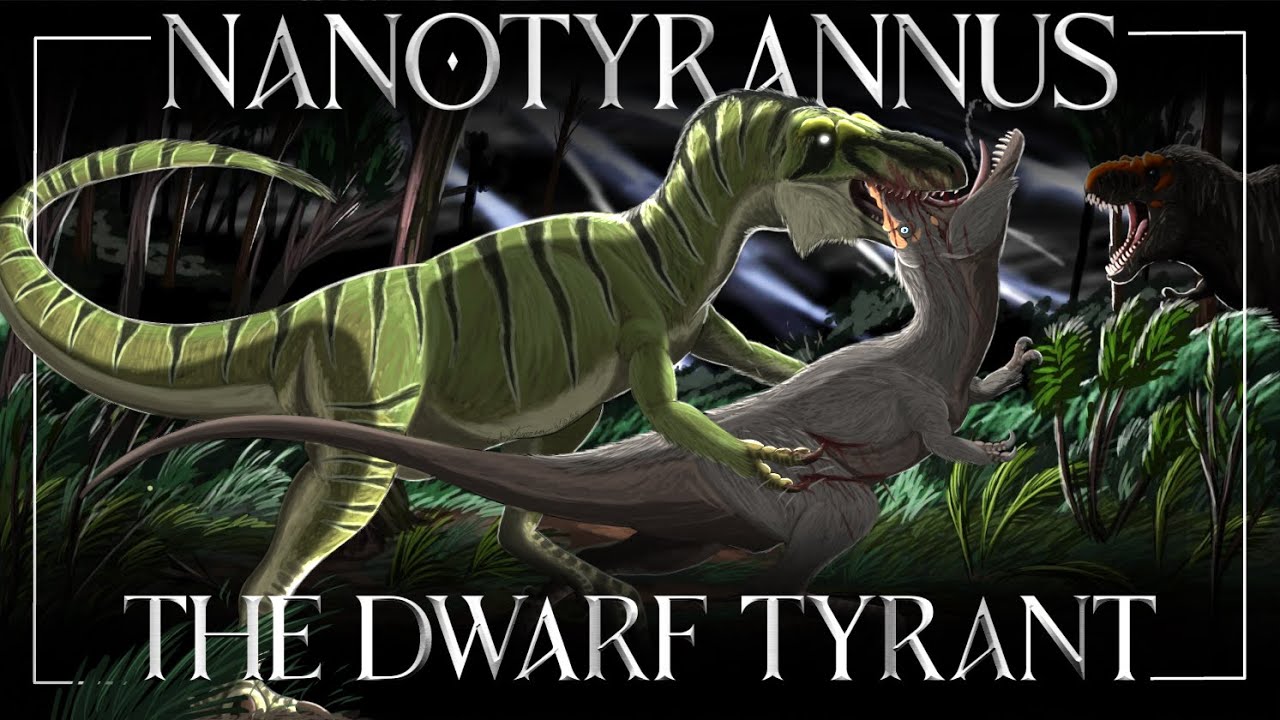 Nanotyrannus: The Dwarf Tyrant